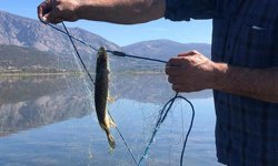 10 yıldır kurak olan çayda balık avladılar!