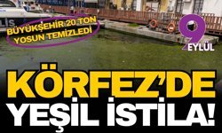 İzmir Körfezi’nde yeşil istila: Büyükşehir 20 ton yosun temizledi