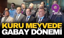 Kuru meyvede Gabay dönemi