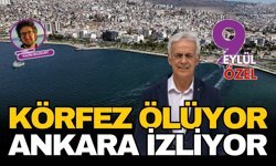 Körfez ölüyor Ankara izliyor
