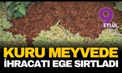 Kuru meyvede ihracatı Ege sırtladı