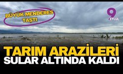 Büyük Menderes taştı: Aydın’da 65 bin dönüm arazi sular altında