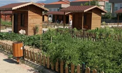 Hobi bahçeleri ve trafik cezalarında yeni dönem