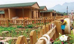 Hobi bahçesi furyasına sert fren