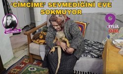 Çimentepe'li 'Cimcime' İstemediği Komşuyu Kapıdan Kovuyor!