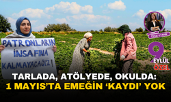 Tarlada, atölyede, okulda: 1 Mayıs’ta emeğin ‘kaydı’ yok