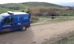Zeytinlikte kanlı infaz... Muhtar traktöründe ölü bulundu