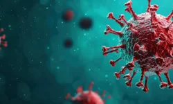 Hantavirüs nedir? Belirtileri nelerdir?