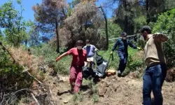 Ormandaki ceset ile ilgili önemli gelişme