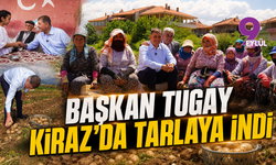 Başkan Tugay Kiraz'da tarlaya indi: "Haziran'da asfalt seferberliği başlıyor"