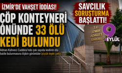 İzmir’de vahşet iddiası! Çöp konteyneri önünde 33 ölü kedi bulundu