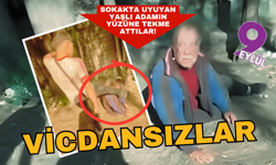 İzmir'de vicdansızlık! Sokakta uyuyan yaşlı adamın yüzüne tekme attılar!