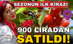 Kirazda ihracat sezonu başladı: Fiyatı 900 TL’ye fırladı