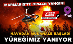 Yüreğimiz yanıyor! Havadan müdahale başladı