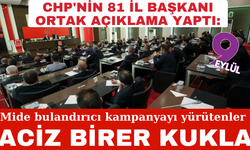CHP'nin 81 il başkanı: Mide bulandırıcı kampanyayı yürütenler aciz birer kukla
