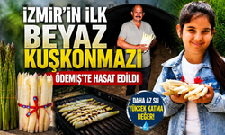 İzmir’in ilk beyaz kuşkonmazı Ödemiş’te hasat edildi