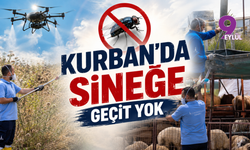 Kurban'da Sineğe Geçit Yok