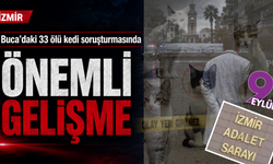 33 ölü kedi soruşturmasında yeni gelişme: Veteriner H.E. gözaltına alındı