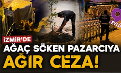 İzmir'de ağaç söken esnafın tezgahı kapatıldı