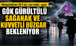 Meteoroloji’den 39 il için sarı alarm: Sağanak, fırtına ve dolu uyarısı