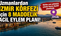 İzmir Körfezi’nde kırmızı alarm: Uzmanlardan 8 maddelik acil eylem planı!