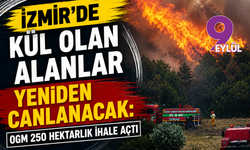 İzmir’de kül olan alanlar yeniden canlanacak: OGM 250 hektarlık ihale açtı