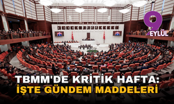 TBMM'de kritik hafta: İşte ele alınacak gündem maddeleri