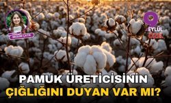 Pamuk üreticisinin çığlığını duyan var mı?