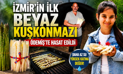 İzmir’in ilk beyaz kuşkonmazı Ödemiş’te hasat edildi