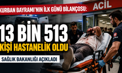 Kurban kesimi sırasında 13 bin 513 kişi hastanelik oldu