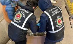 Ticaret Bakanlığı duyurdu: 659 kilo uyuşturucu ele geçirildi