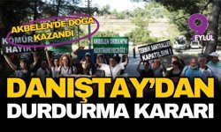 Akbelen'de doğa kazandı: Danıştay "acele" kararı durdurdu