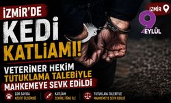 İzmir'de kedi katliamı! Veteriner hekim tutuklama talebiyle mahkemeye sevk edildi