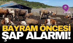 Bayram öncesi Aydın’da şap alarmı: 17 mahalle karantinaya alındı