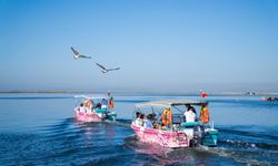 İzmir'de bayramda flamingo rotası Körfez’de başlıyor