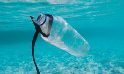 Bilim İnsanları Kendi Kendini Yok Eden Canlı Plastik Üretti