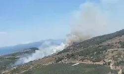 Dikili’de Makilik Alanda Yangın