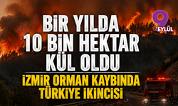 Ormanlar yok oluyor: İzmir’in acı gerçeği ortaya çıktı