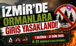 İzmir'de Ormanlara Giriş Yasaklandı: Valilikten Kritik Yangın Genelgesi