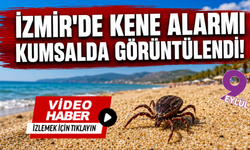 Pamucak Sahili’nde kene alarmı: Vatandaştan ilaçlama çağrısı