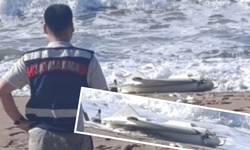 Plajda silahlı İHA bulundu!