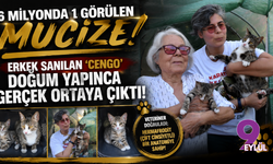Erkek sanılan ‘Cengo’ doğum yapınca gerçek ortaya çıktı!