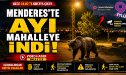 Menderes'te Gece Yarısı Sürprizi: Ayı Mahalleye İndi