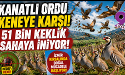 Kene tehdidine karşı kanatlı ordu göreve hazır: İzmir kırsalında ‘kınalı keklik’ alarmı