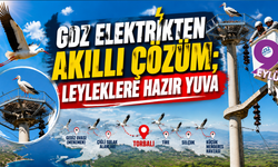 Leyleklere güvenli yuva: İzmir'de kesintisiz elektrik için doğayla uyumlu çözüm
