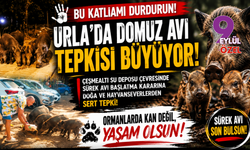Bu katliamı durdurun