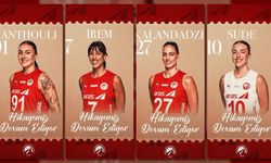 Sultanlar Ligi’nde Aras Kargo'dan iç transfer atağı