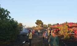 Bilecik’te orman yangını büyümeden söndürüldü