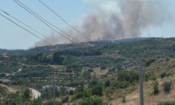 Çeşme’deki Yangın Kontrol Altına Alındı