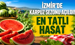 Torbalı’nın meşhur karpuzu tezgâhlarda: En tatlı hasat!
